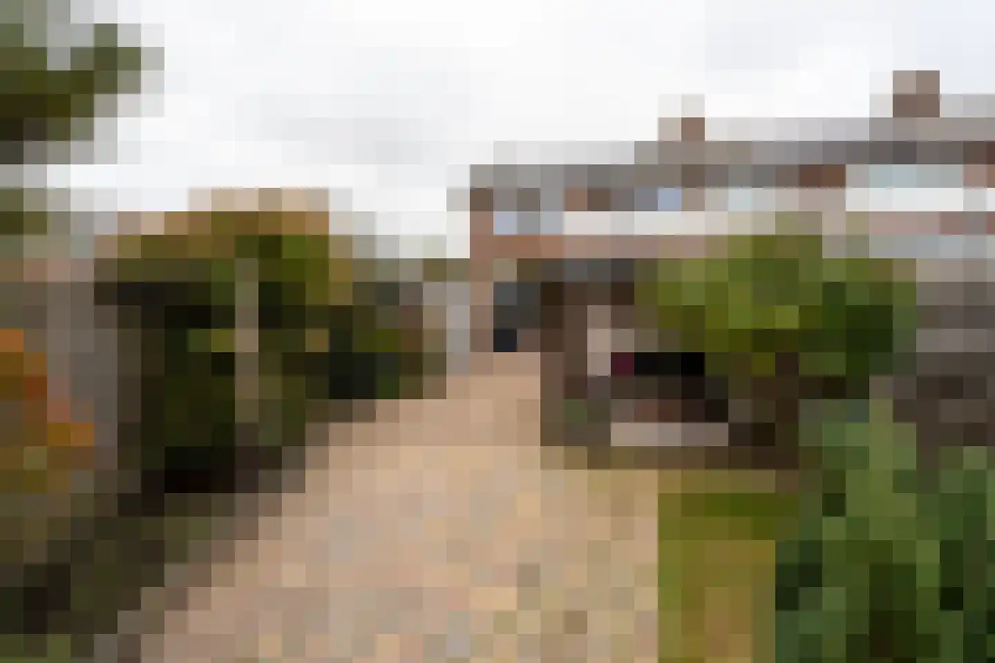 Oude Bos 18 Veendam thumbnail 36