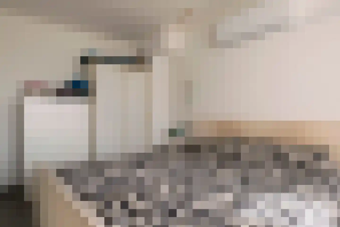Oude Bos 33 Veendam thumbnail 21