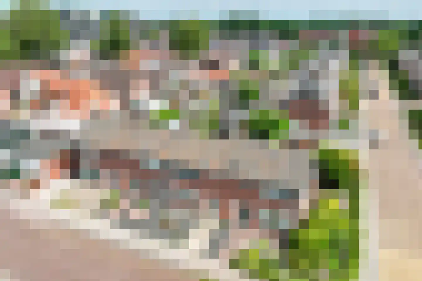 Oude Bos 33 Veendam thumbnail 32