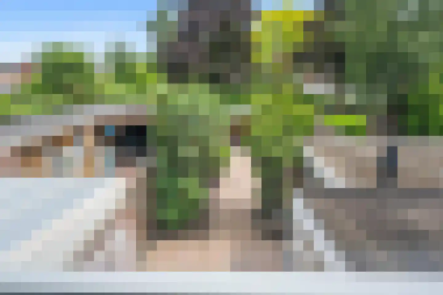 Oude Bos 4 Veendam thumbnail 28
