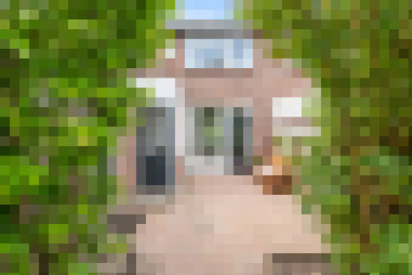 Oude Bos 4 Veendam thumbnail 31