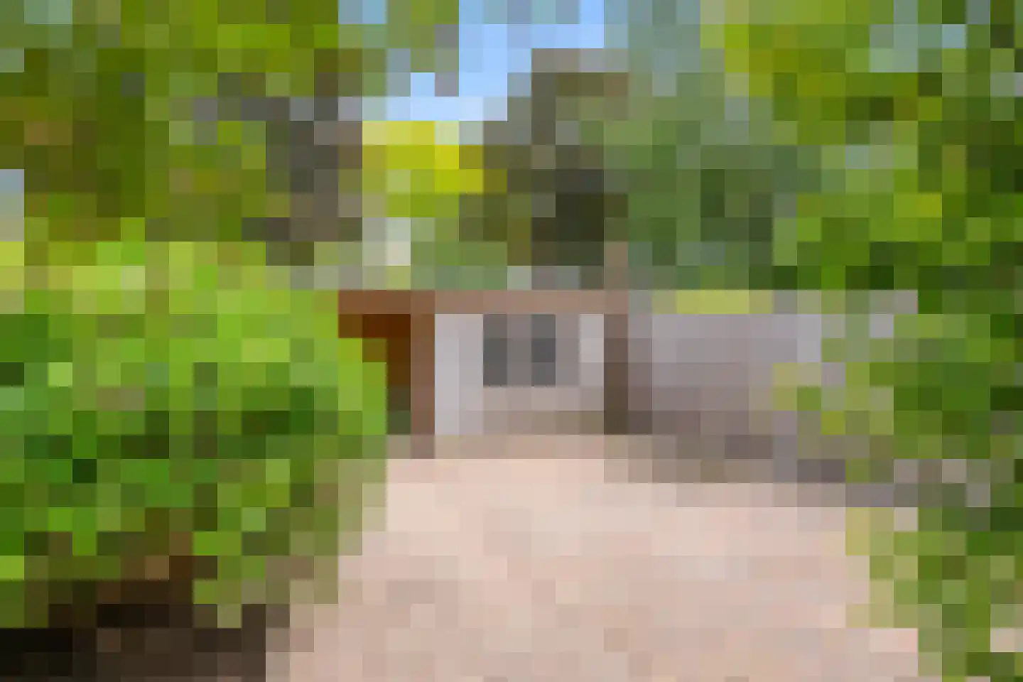 Oude Bos 4 Veendam thumbnail 33