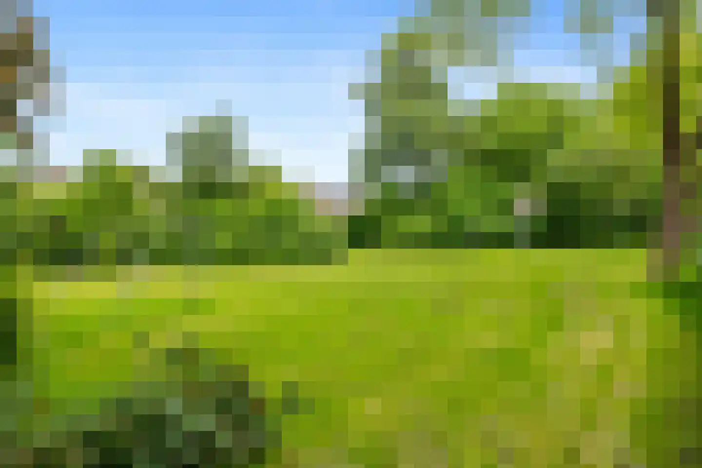 Oude Bos 4 Veendam thumbnail 37