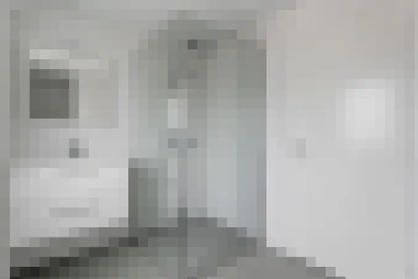 Oude Bos 4 Veendam thumbnail 4