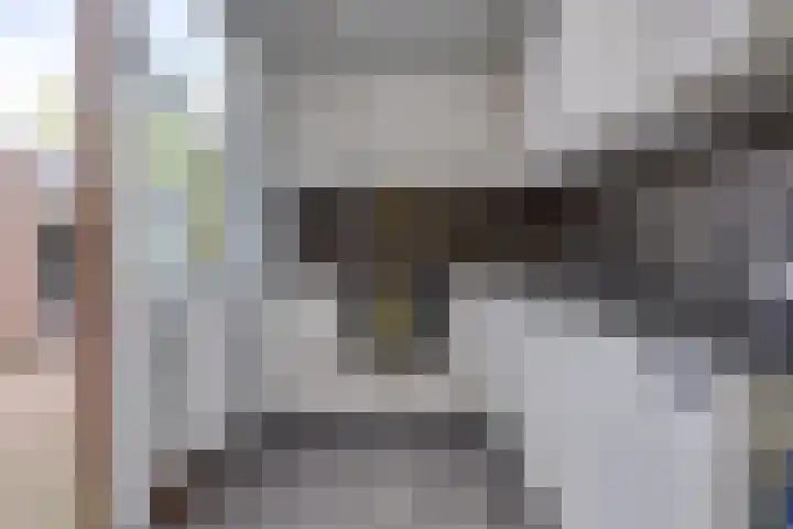 Oude Bos 69 Veendam thumbnail 10