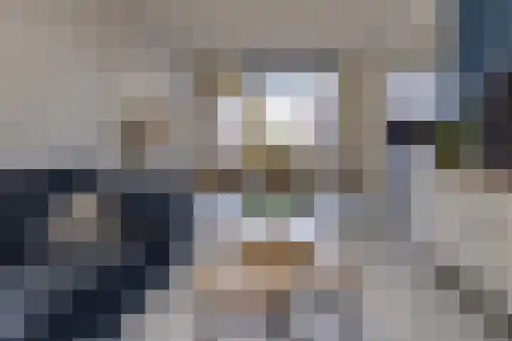Oude Bos 69 Veendam thumbnail 8