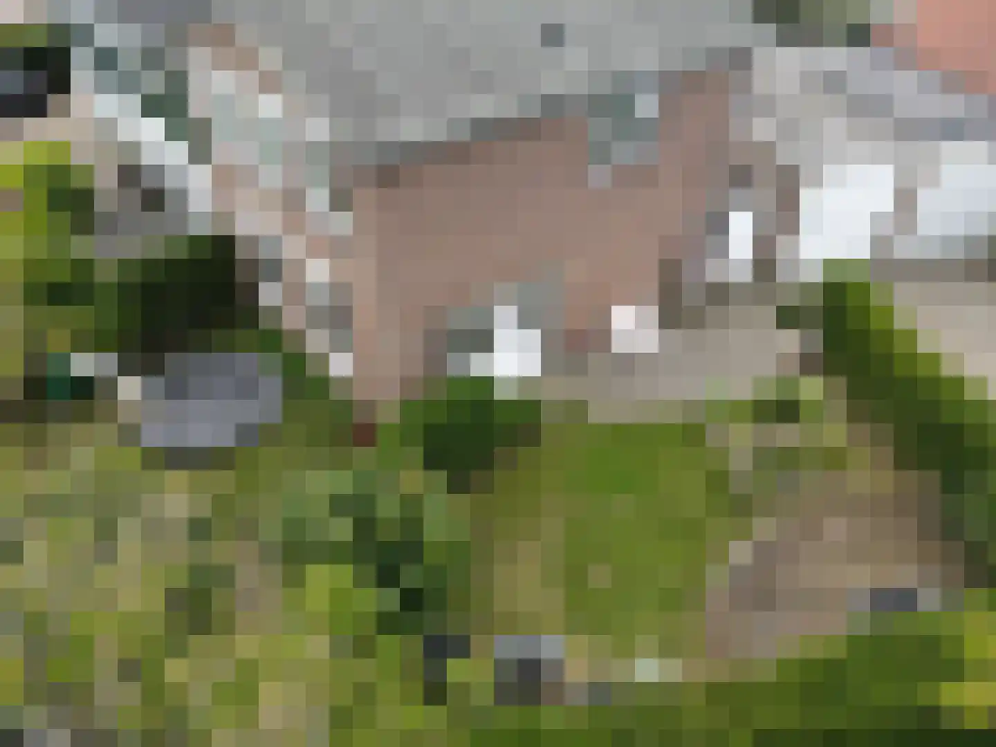 Oude Bosstraat 1 A Kapelle thumbnail 36