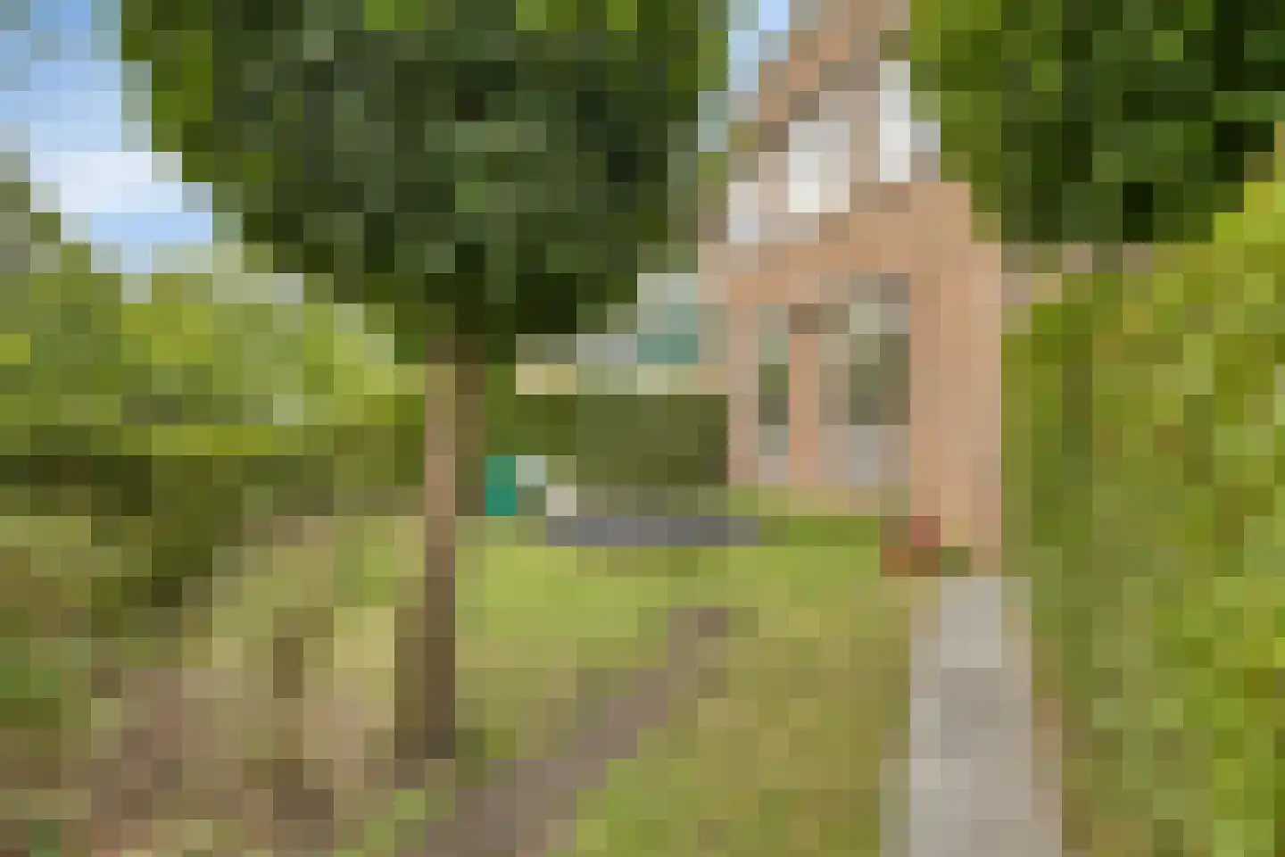 Oude Bosstraat 1 A Kapelle thumbnail 38