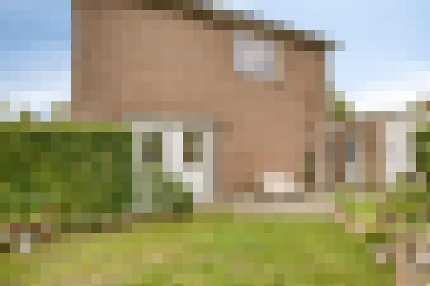 Oude Bosstraat 1 A Kapelle thumbnail 41