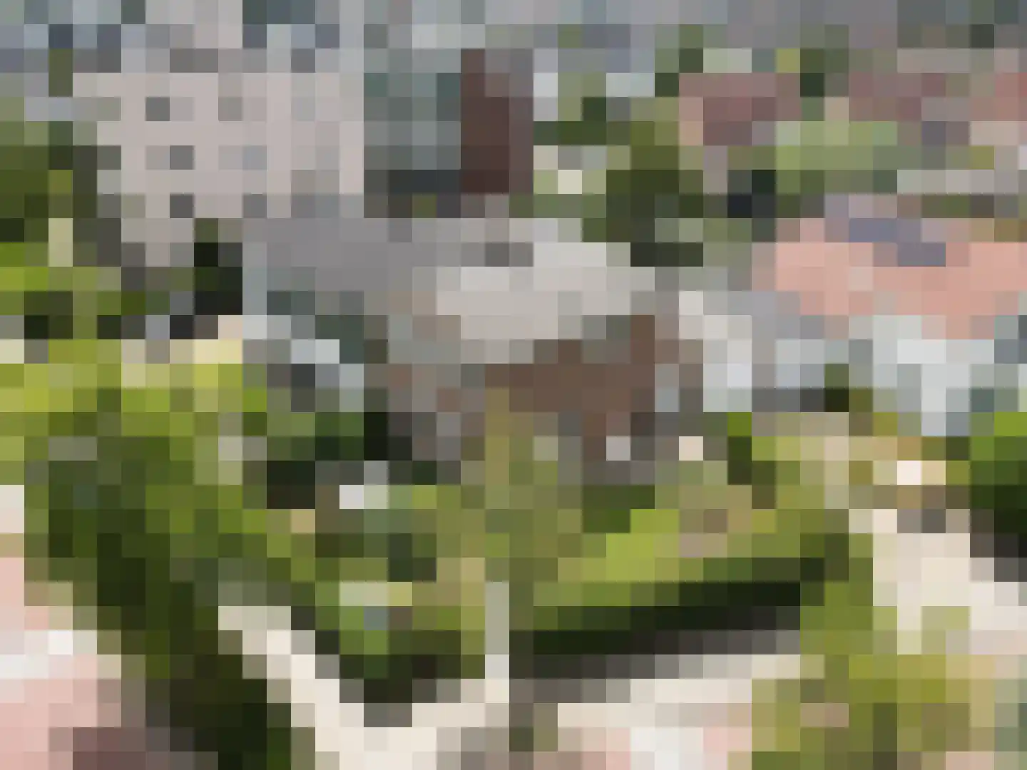 Oude Bosstraat 1 A Kapelle thumbnail 49