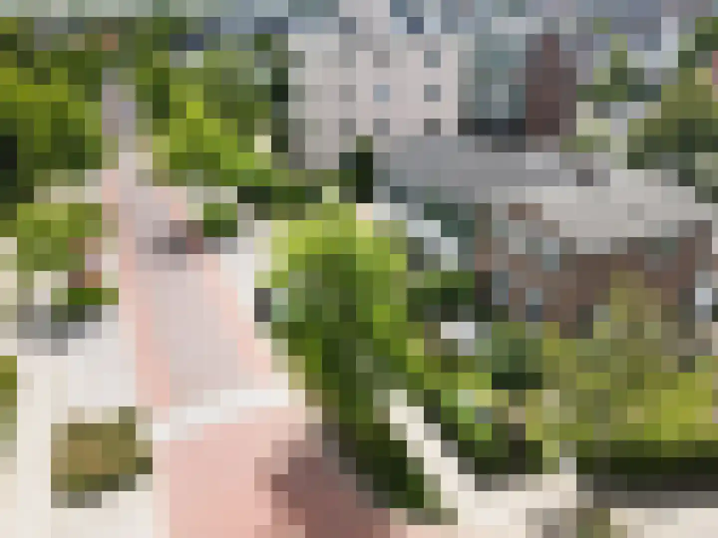 Oude Bosstraat 1 A Kapelle thumbnail 51