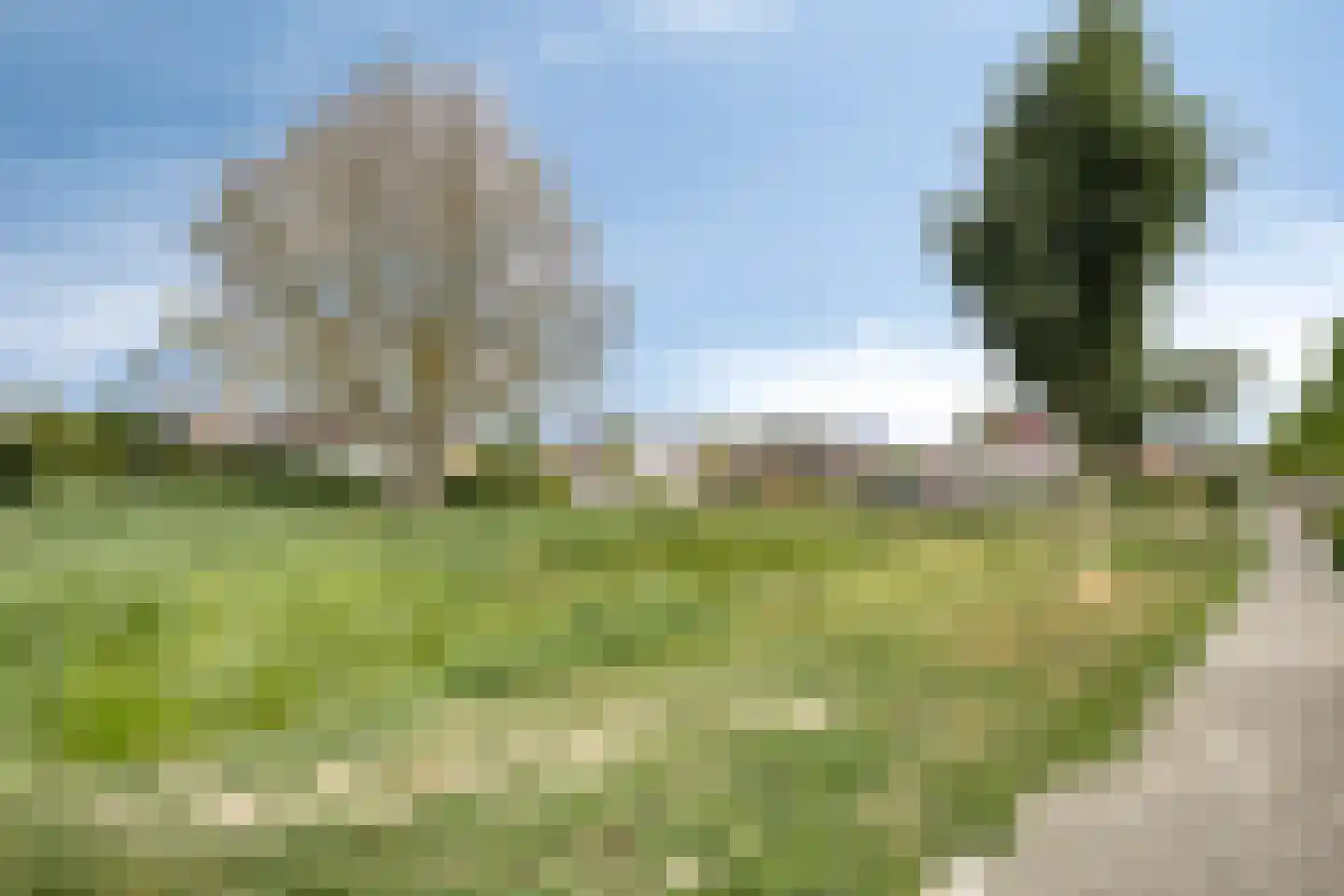 Oude Bosstraat 1 A Kapelle thumbnail 53