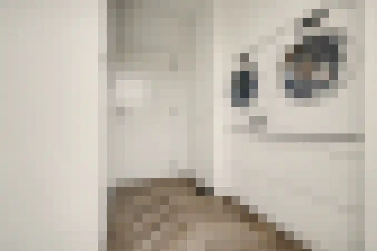 Oude Bosstraat 17 Kapelle thumbnail 20