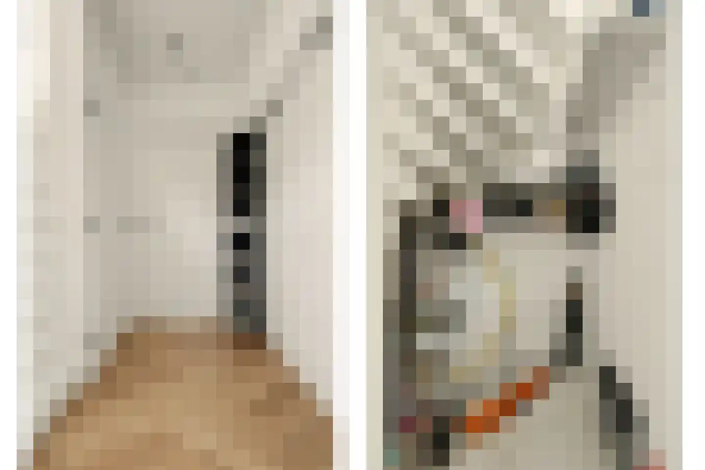 Oude Bosstraat 17 Kapelle thumbnail 22