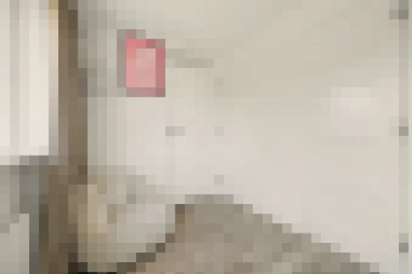 Oude Bosstraat 17 Kapelle thumbnail 30