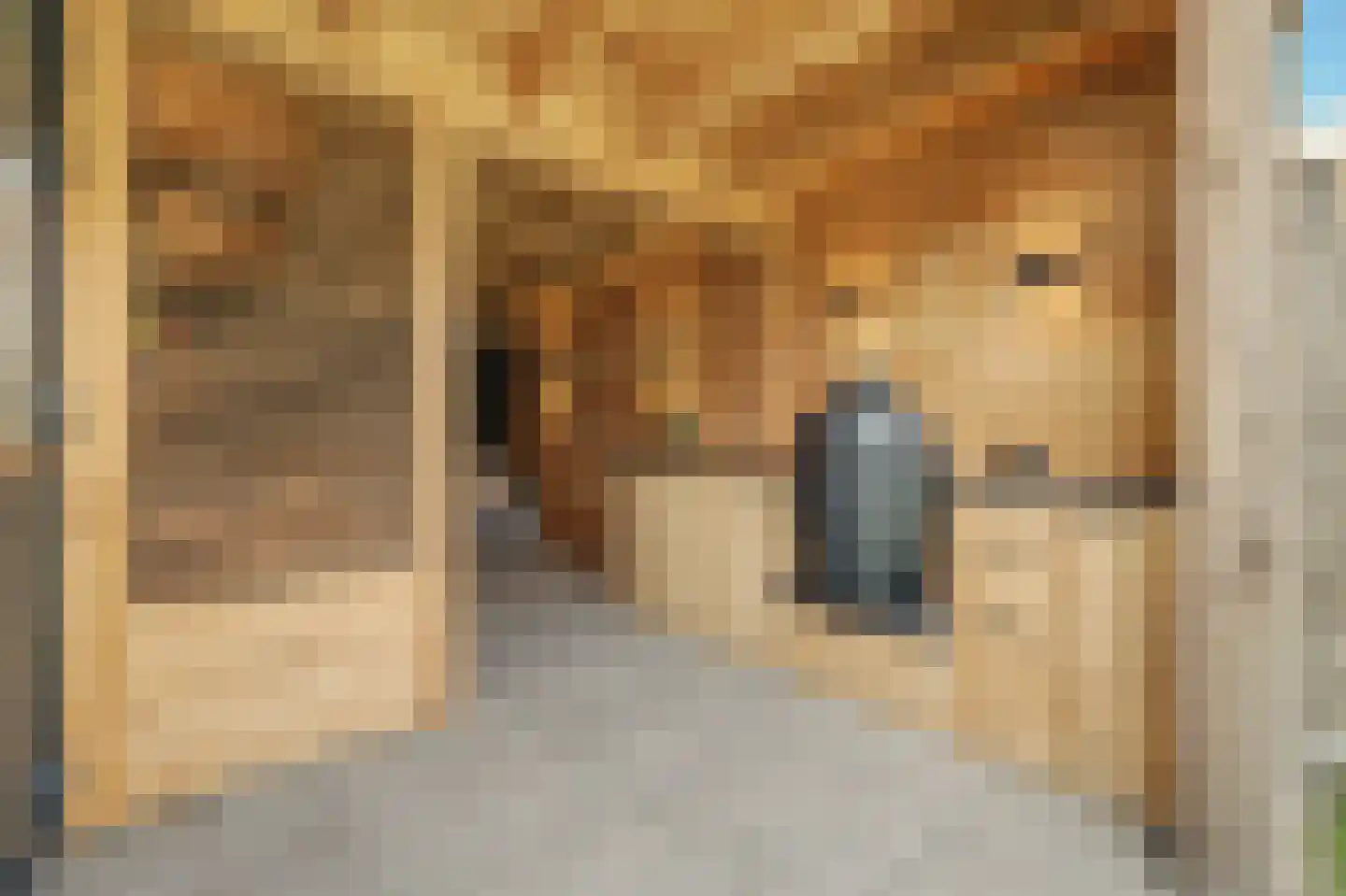 Oude Bosstraat 17 Kapelle thumbnail 38
