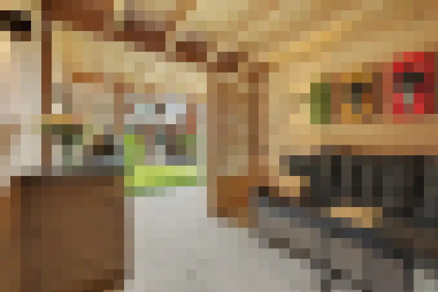 Oude Bosstraat 17 Kapelle thumbnail 40