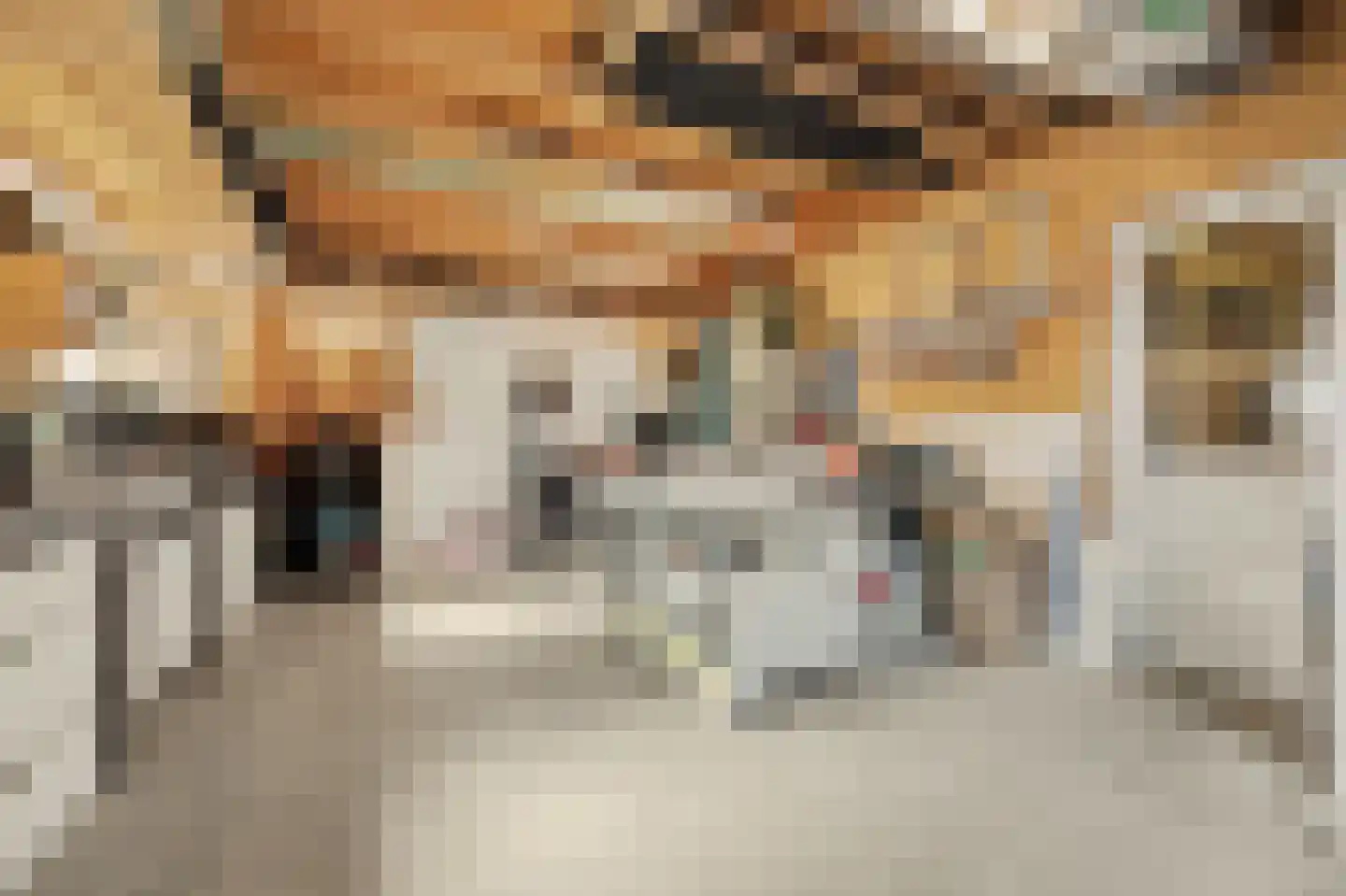 Oude Bosstraat 17 Kapelle thumbnail 41