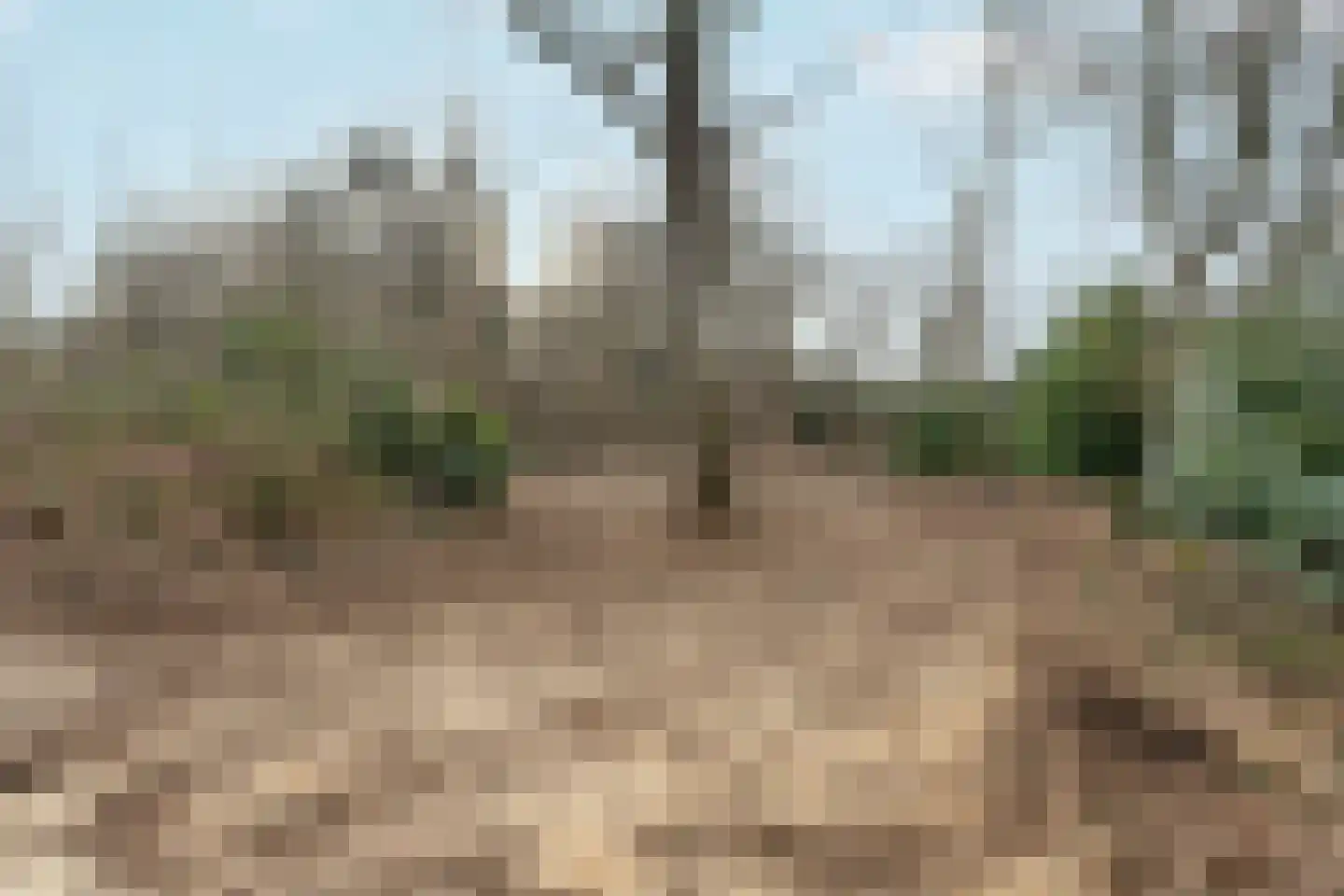 Oude Bosweg Beek thumbnail 10