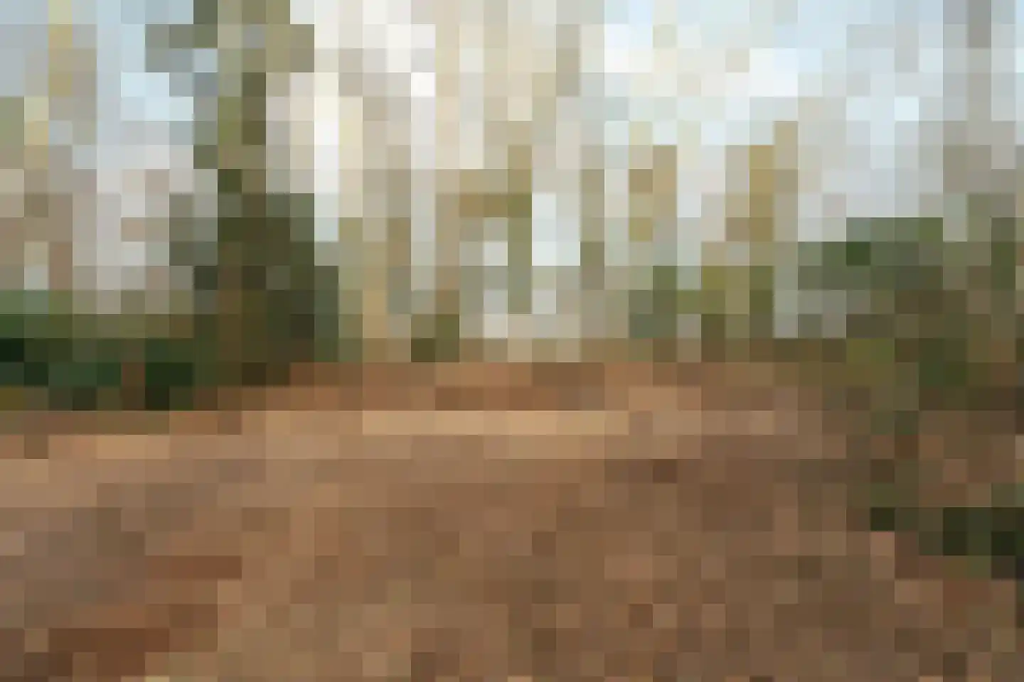 Oude Bosweg Beek thumbnail 11
