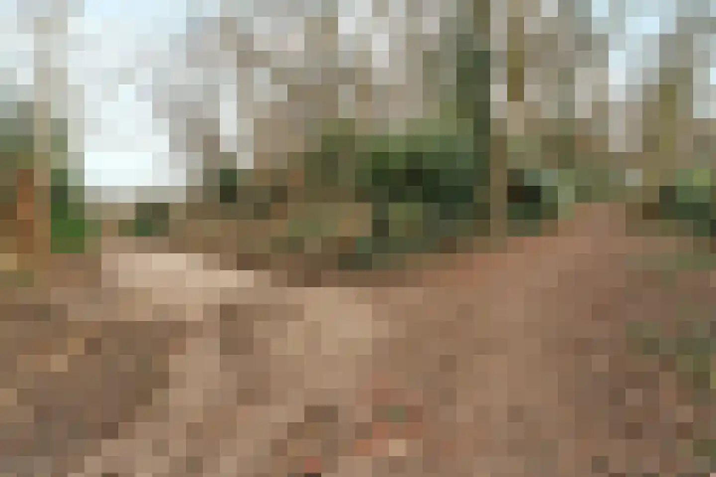 Oude Bosweg Beek thumbnail 12