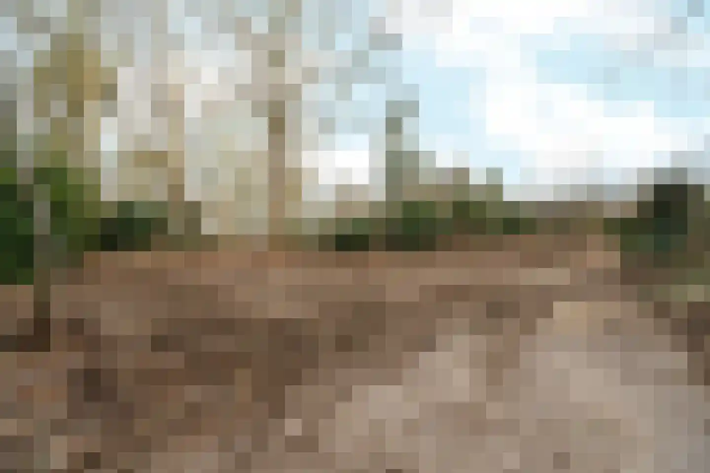 Oude Bosweg Beek thumbnail 13