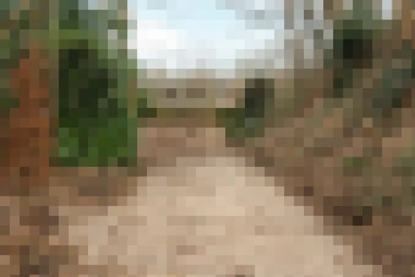 Oude Bosweg Beek thumbnail 14