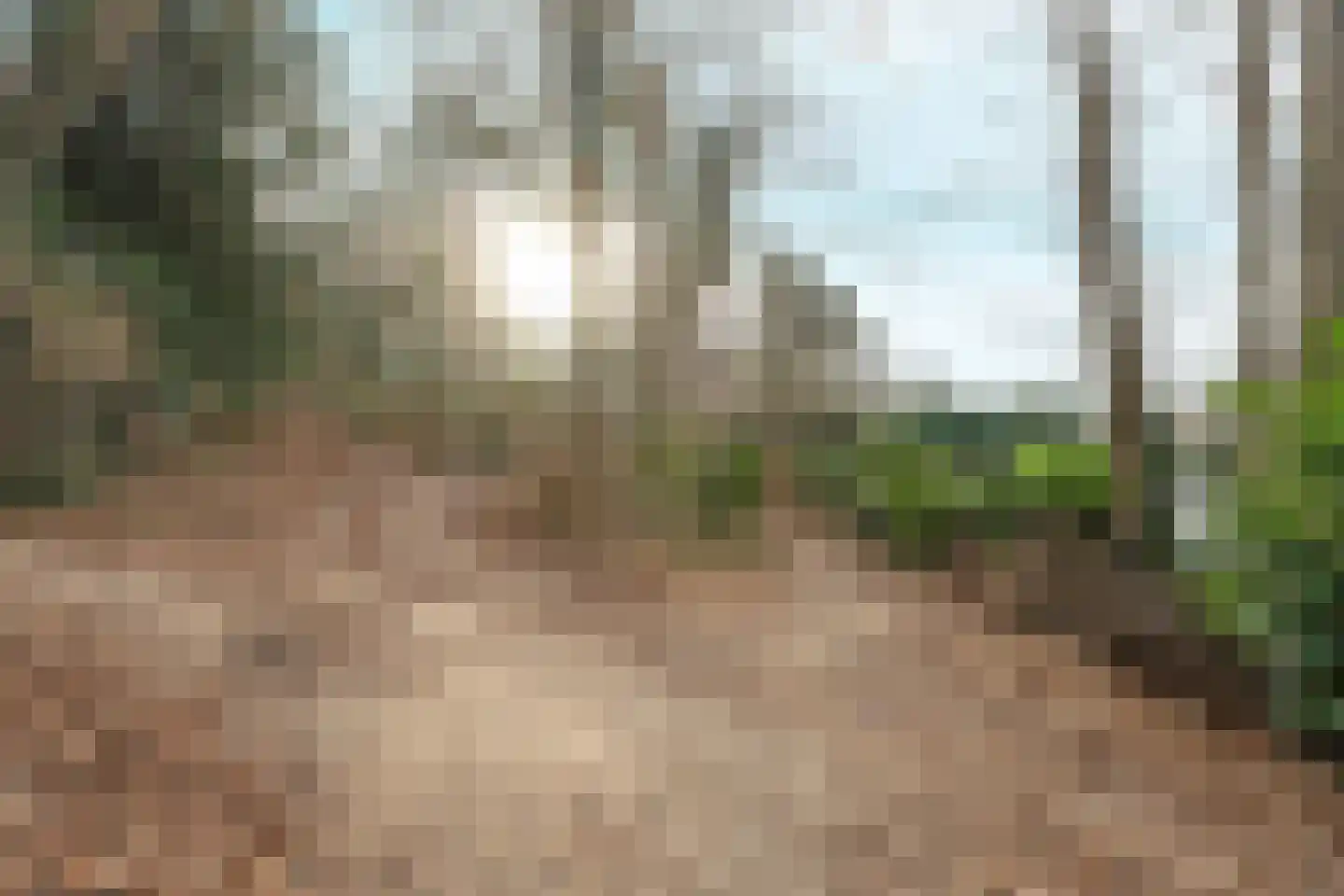 Oude Bosweg Beek thumbnail 15
