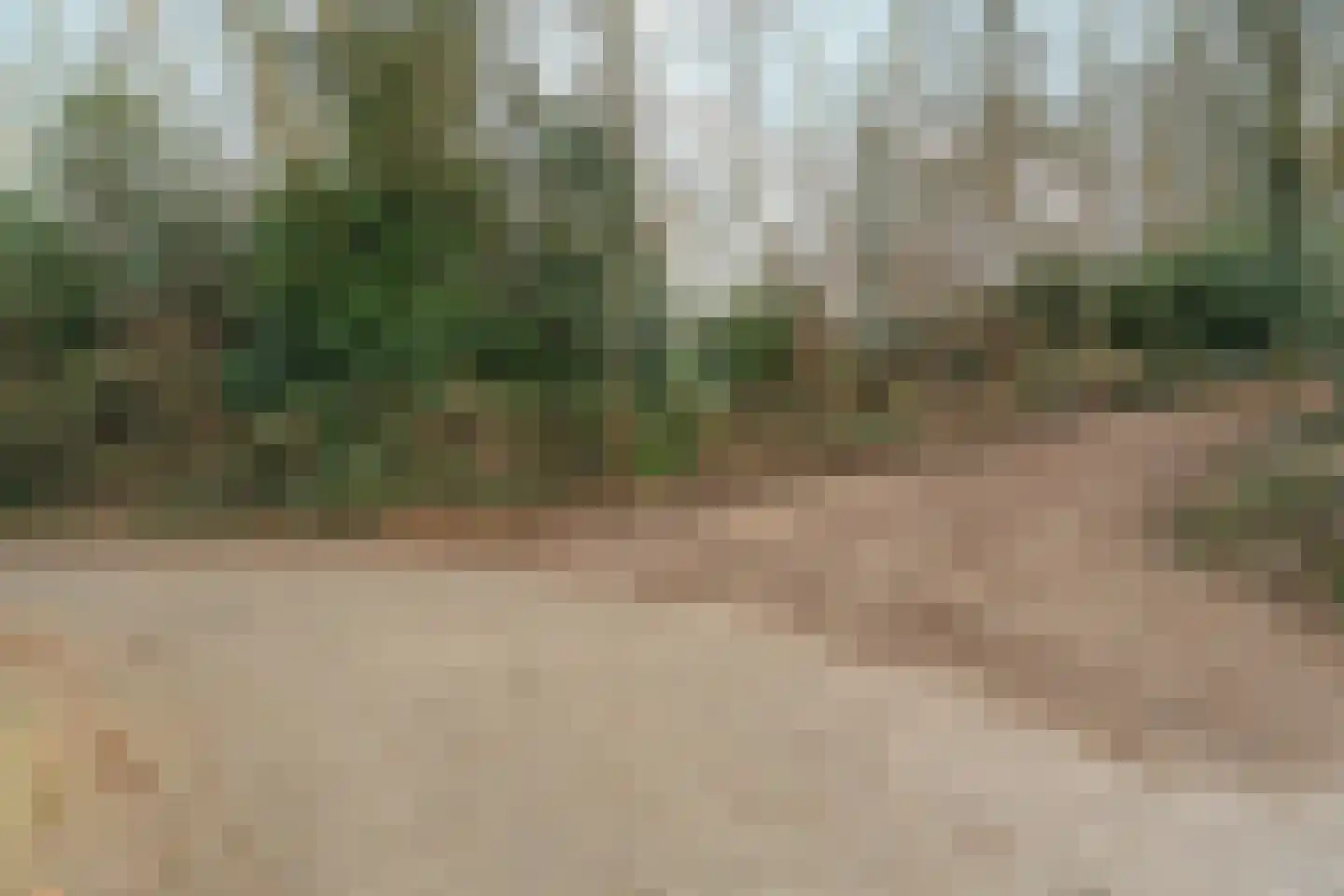 Oude Bosweg Beek thumbnail 18