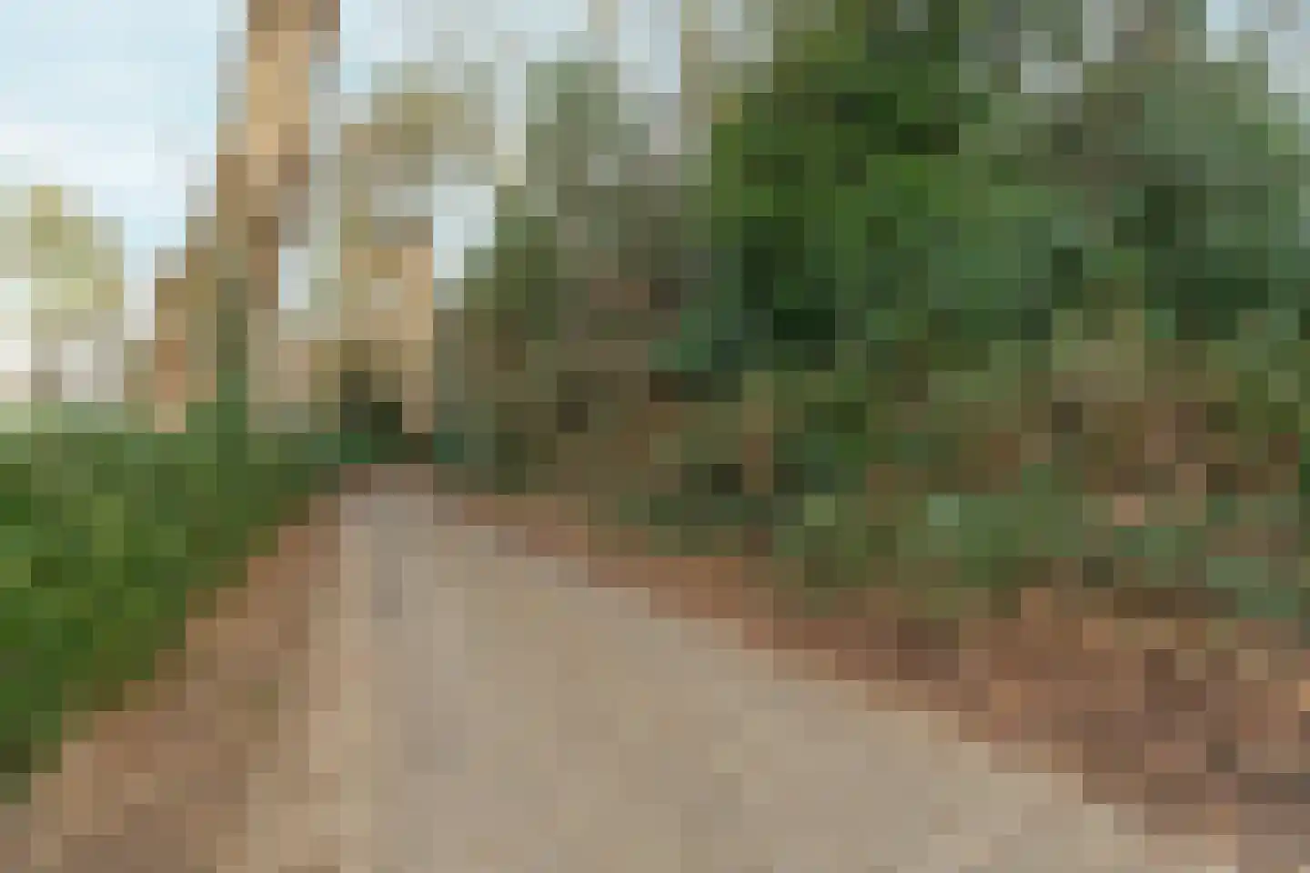 Oude Bosweg Beek thumbnail 19