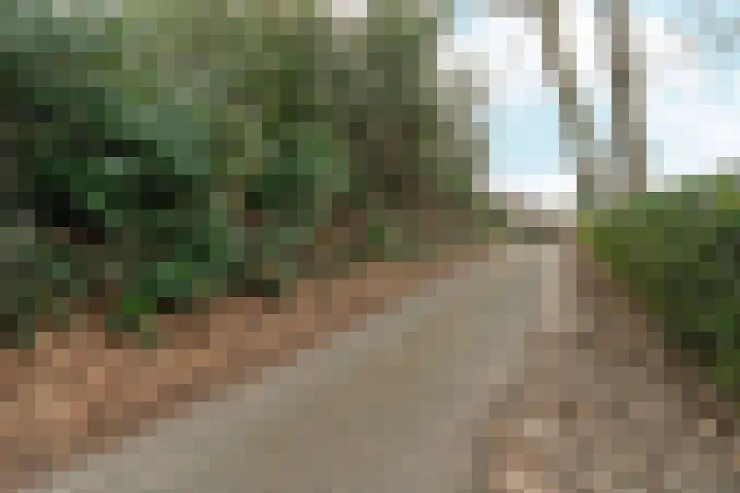 Oude Bosweg Beek thumbnail 20