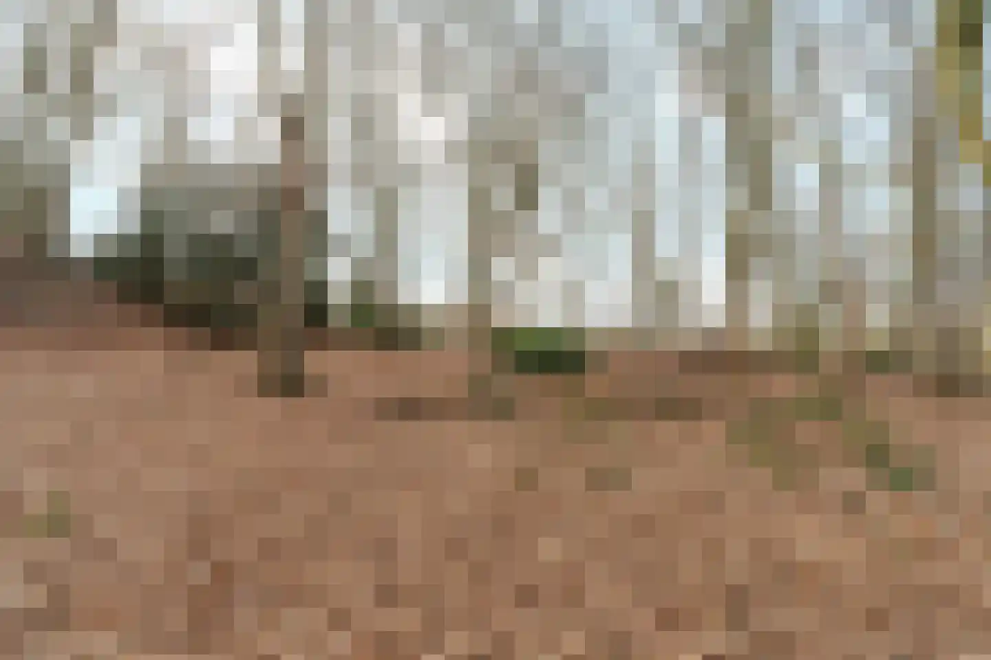 Oude Bosweg Beek thumbnail 21