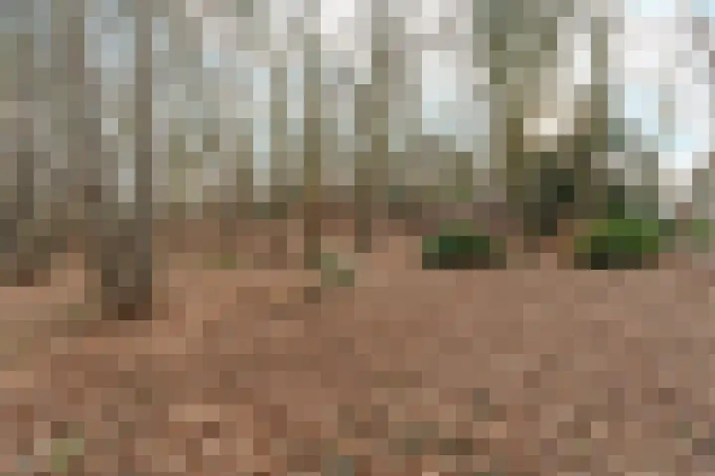Oude Bosweg Beek thumbnail 23