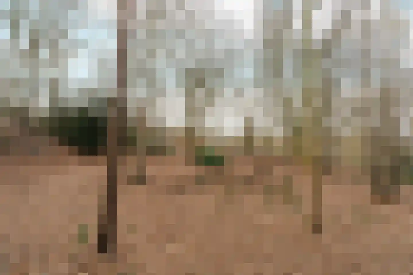Oude Bosweg Beek thumbnail 24