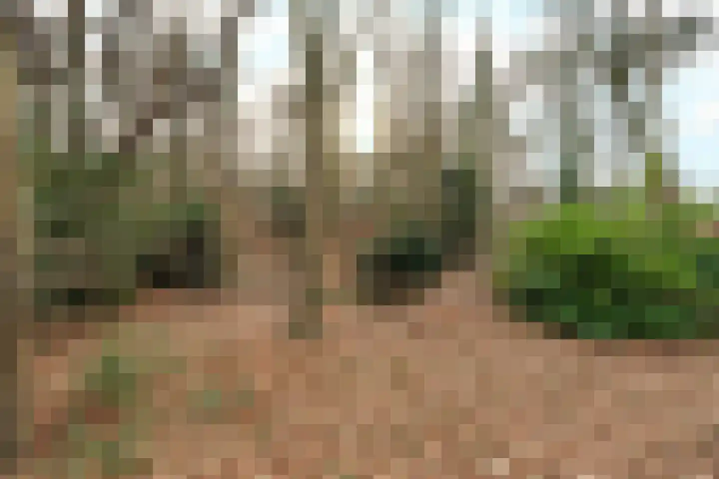 Oude Bosweg Beek thumbnail 27