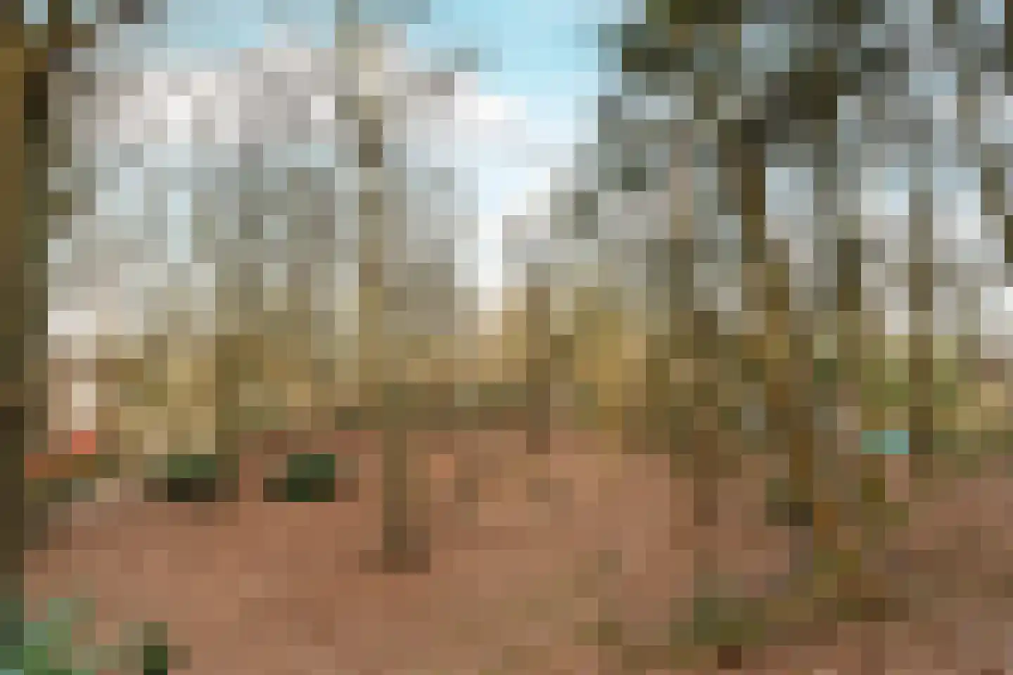 Oude Bosweg Beek thumbnail 28