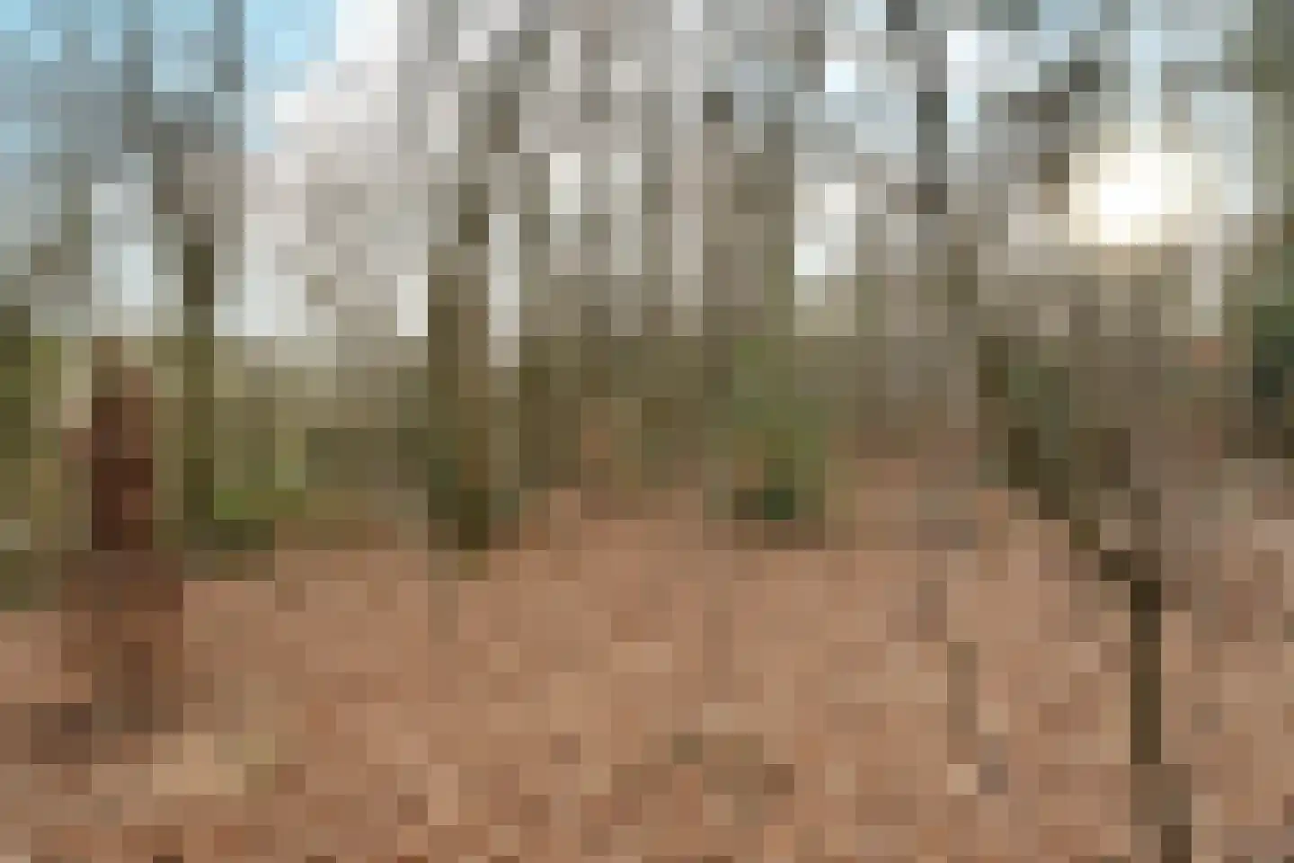 Oude Bosweg Beek thumbnail 29