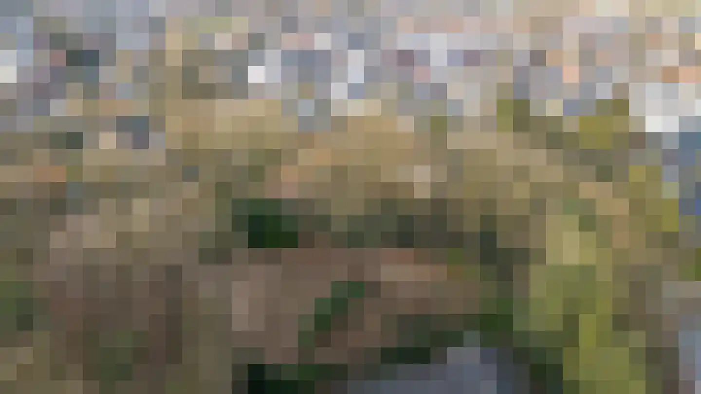 Oude Bosweg Beek thumbnail 31