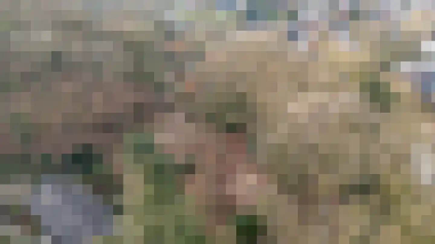 Oude Bosweg Beek thumbnail 32