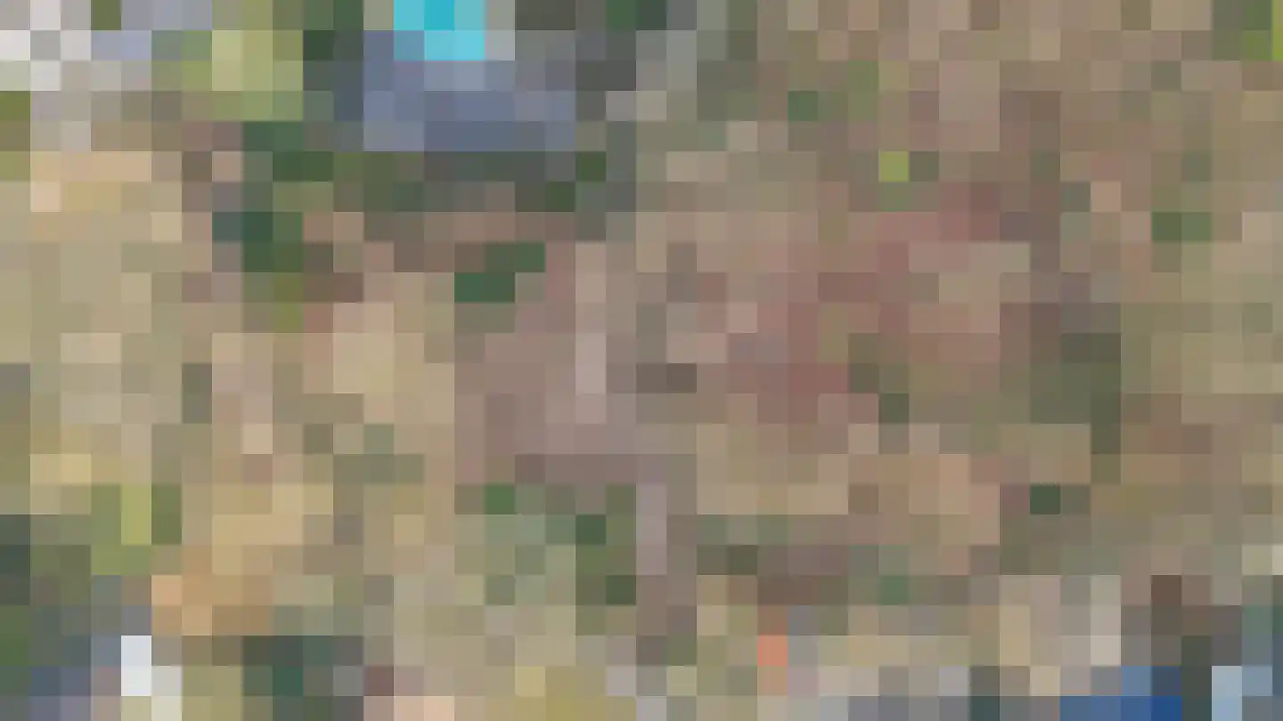 Oude Bosweg Beek thumbnail 33