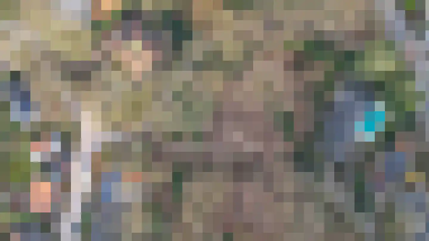 Oude Bosweg Beek thumbnail 34