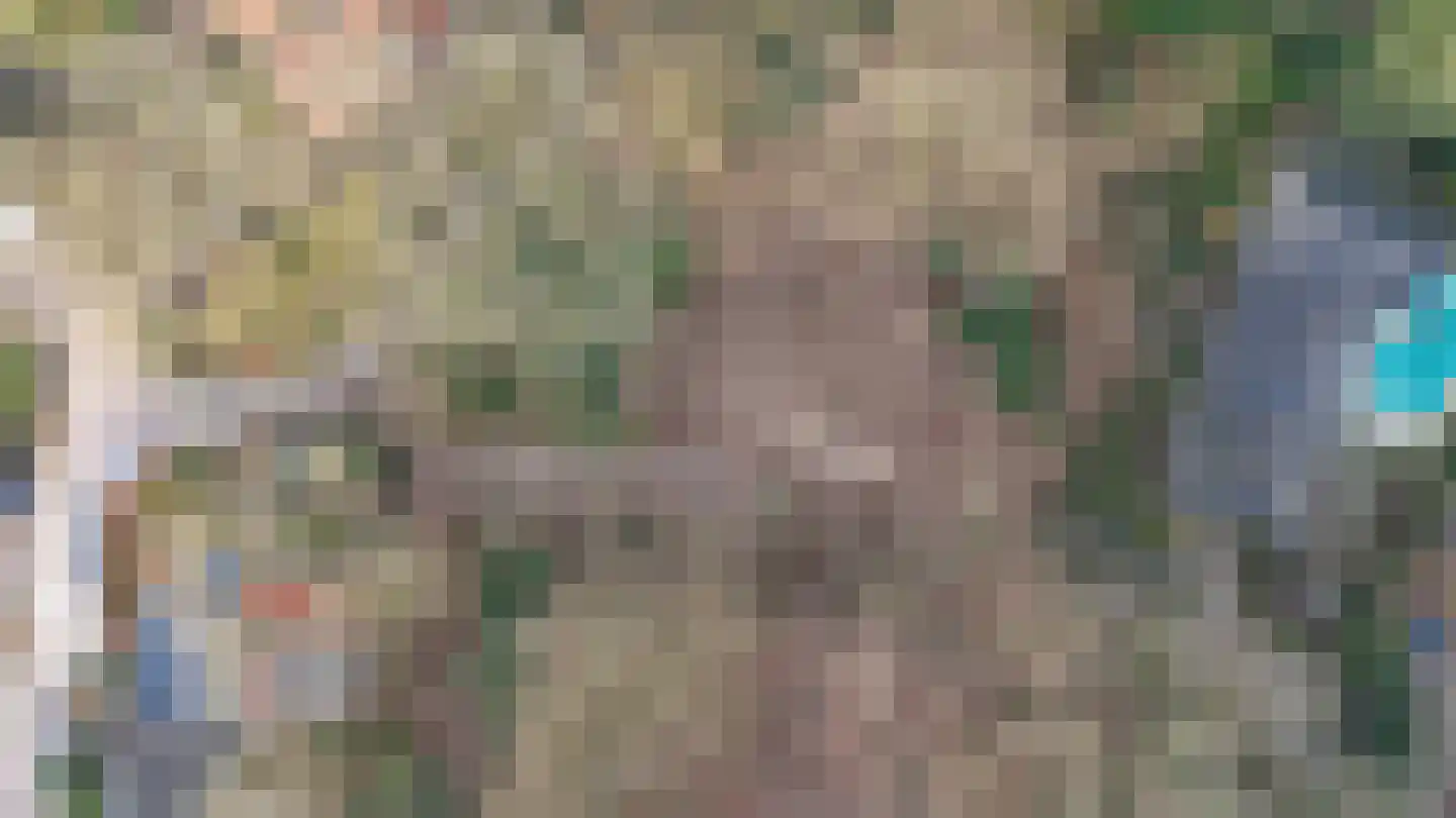 Oude Bosweg Beek thumbnail 35