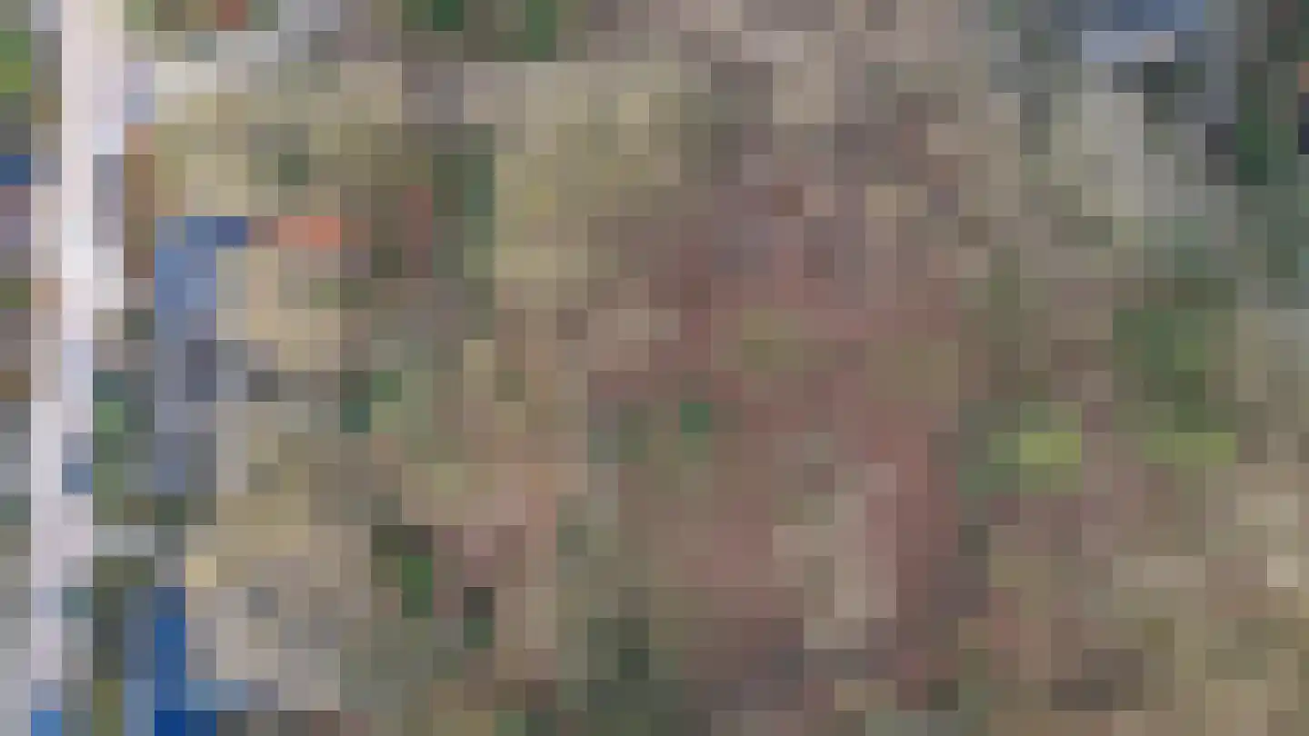 Oude Bosweg Beek thumbnail 36
