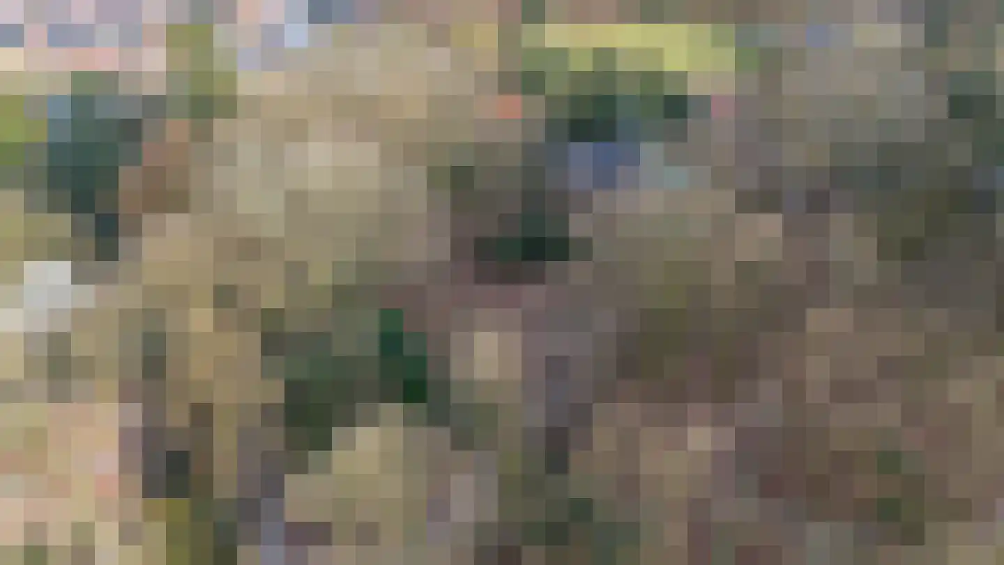 Oude Bosweg Beek thumbnail 37