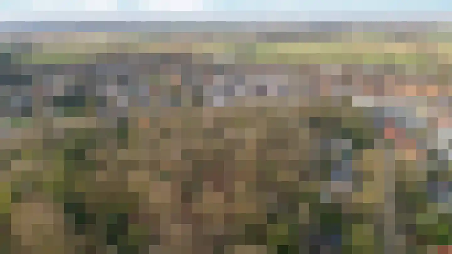 Oude Bosweg Beek thumbnail 38