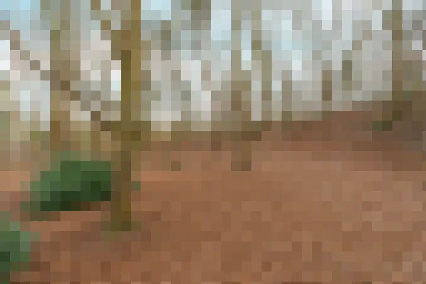 Oude Bosweg Beek thumbnail 4