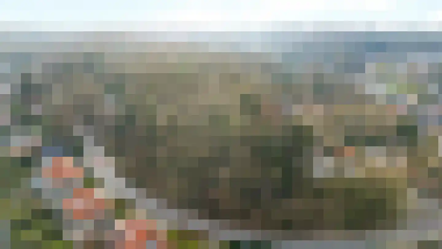 Oude Bosweg Beek thumbnail 40