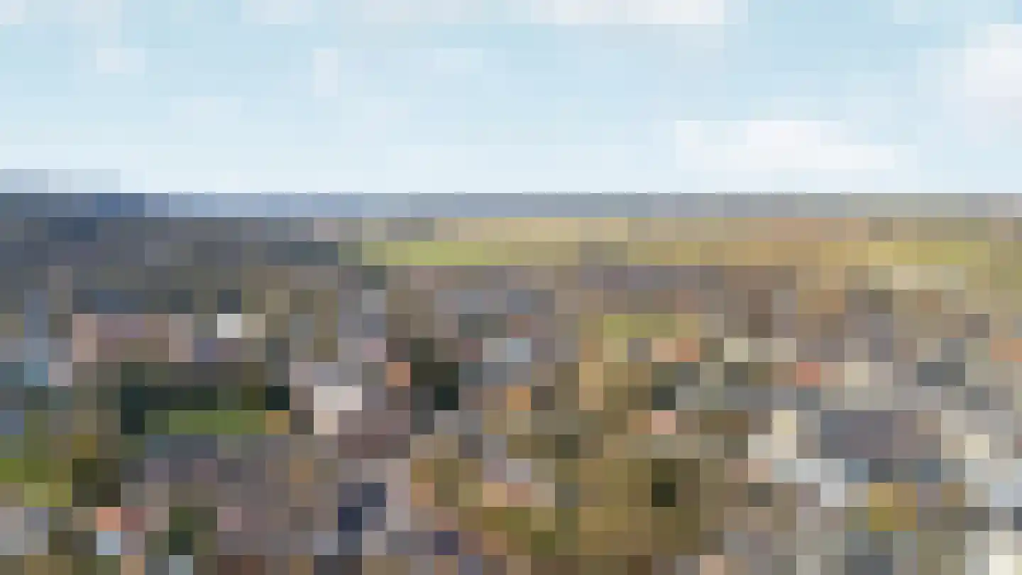 Oude Bosweg Beek thumbnail 41