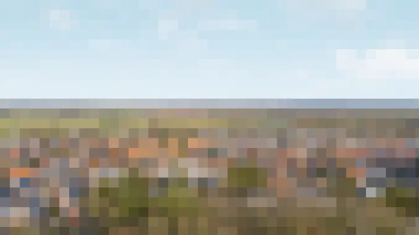 Oude Bosweg Beek thumbnail 42