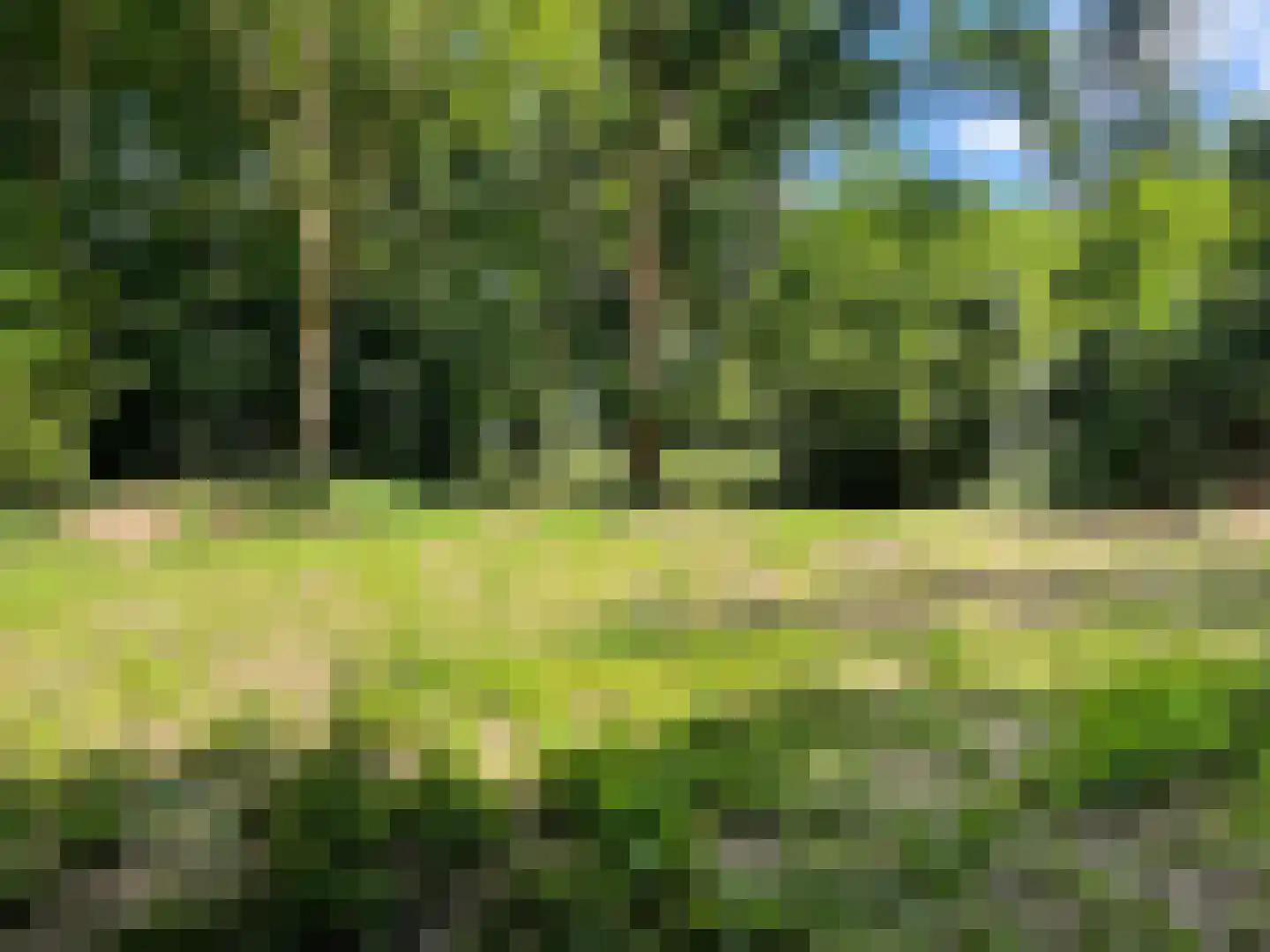 Oude Bosweg Beek thumbnail 46